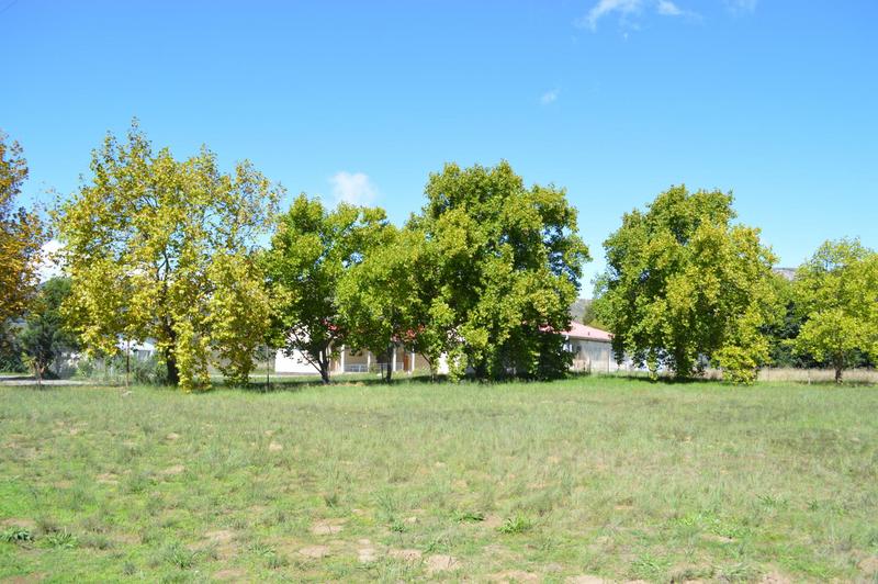 9 Bedroom Property for Sale in Joubertina Eastern Cape